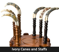 Ivory Tusk Canes