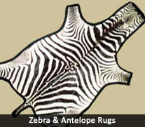 Zebra & Antelope Rugs